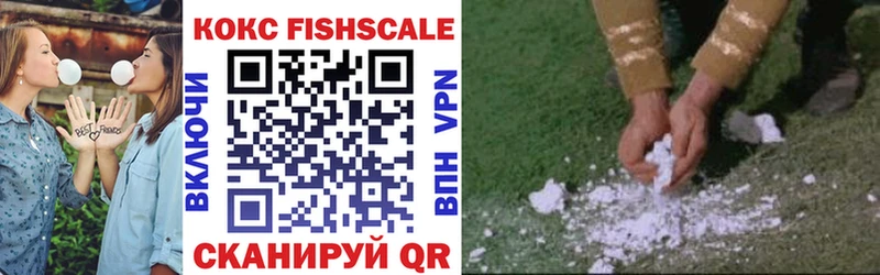 Cocaine FishScale  дарнет шоп  Бабушкин 