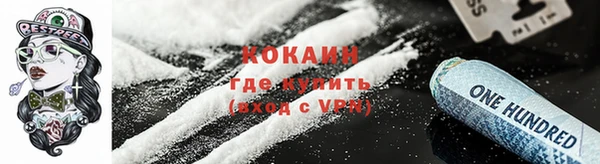 дживик Алексин