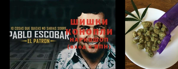 ГАЛЛЮЦИНОГЕННЫЕ ГРИБЫ Алексеевка