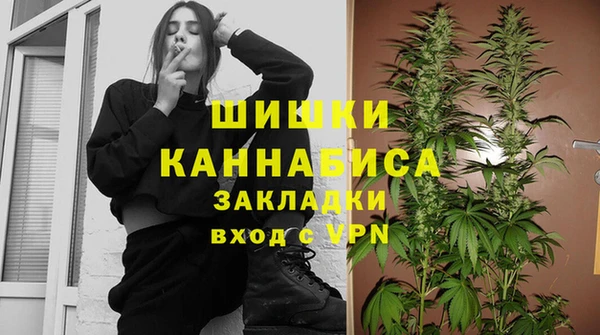 дживик Алексин