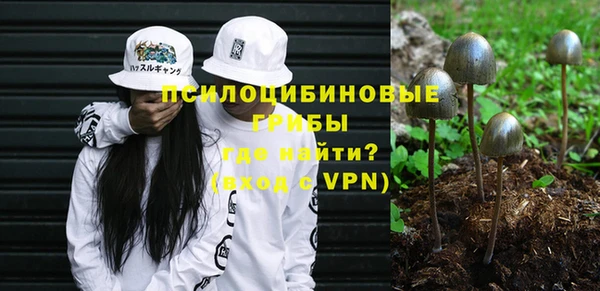 ГАЛЛЮЦИНОГЕННЫЕ ГРИБЫ Алексеевка