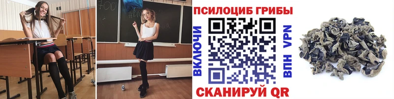 купить  цена  Бабушкин  Псилоцибиновые грибы ЛСД 